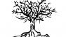 avatar for Árbol Televisión Participativa