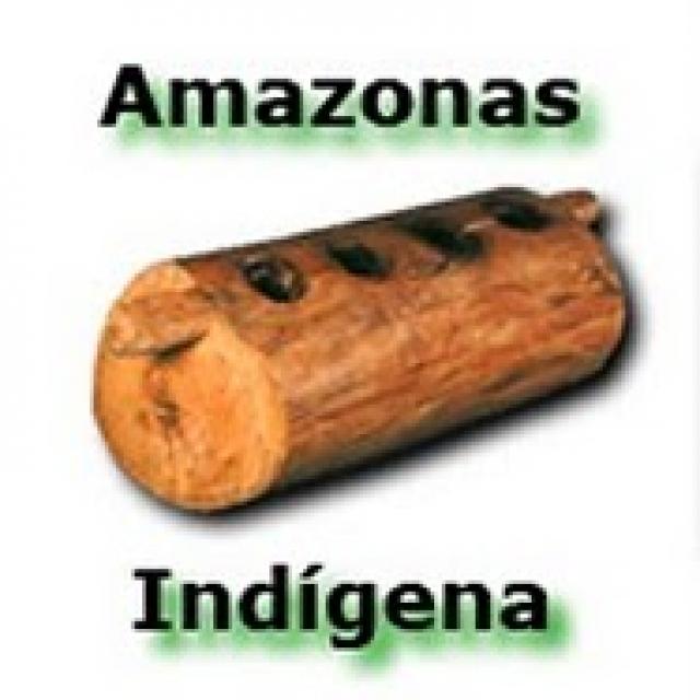 Portrait de Amazonas Indigena